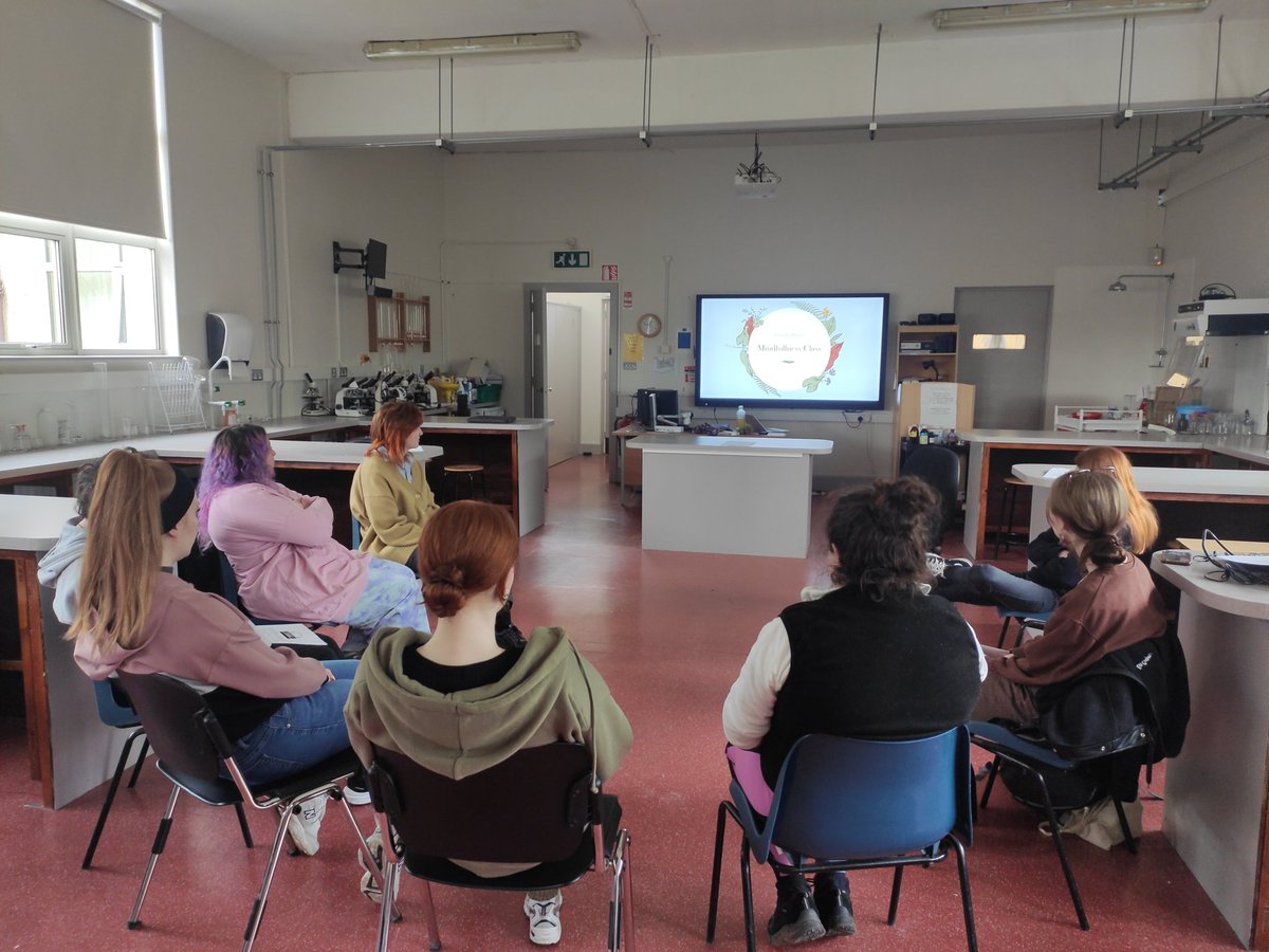 Killester College tweet media