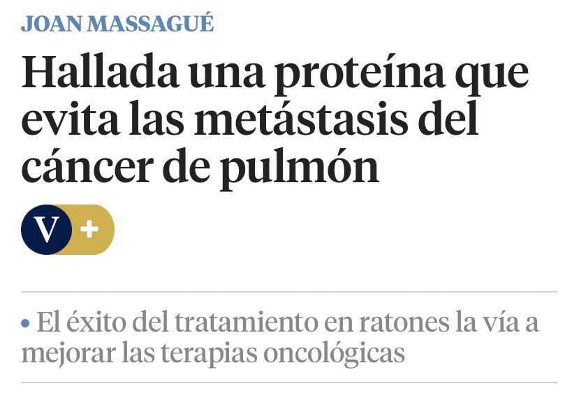 FernandoHValls's tweet photo. Déjense de Ana Obregón y la gestación subrogada. Ya tenemos la que, para mí, es la noticia del día. ¡Invirtamos en ciencia! https://t.co/XSeeJ3ALlj https://t.co/17XFGe1gr6