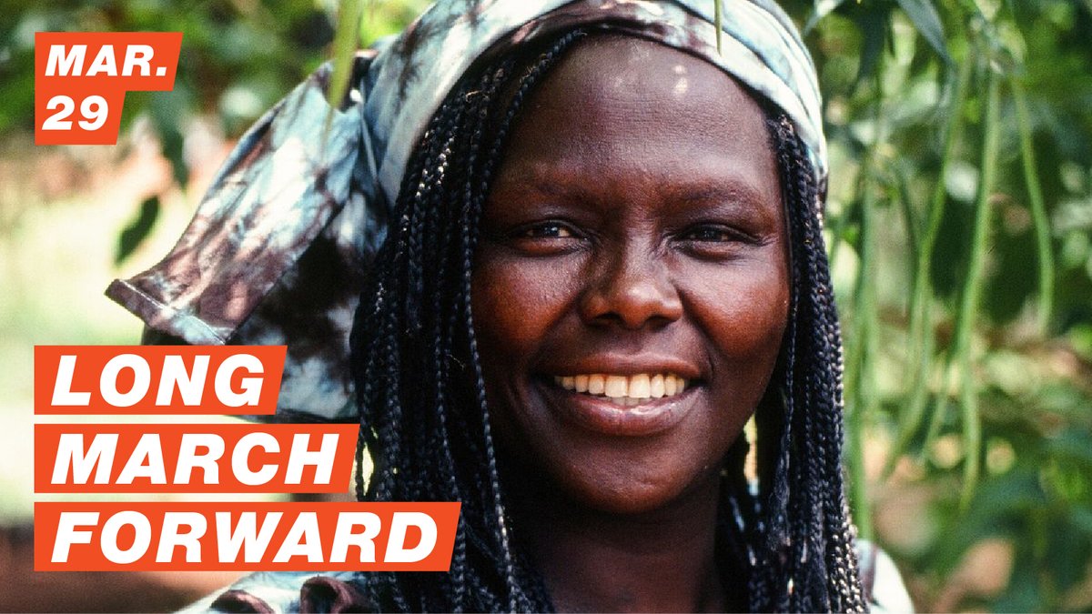 CitizenGroup's tweet photo. Thank U #WangariMaathai for drawing global attention to the connection between environmental degradation, poverty & conflict, and founding @GreenBeltMovemnt to empower Kenyan women and plant 11 billion trees in our #LongMarchForward. WATCH: https://t.co/UwmrXjtLVA #ClimateJustice https://t.co/3KkTuIlOQn