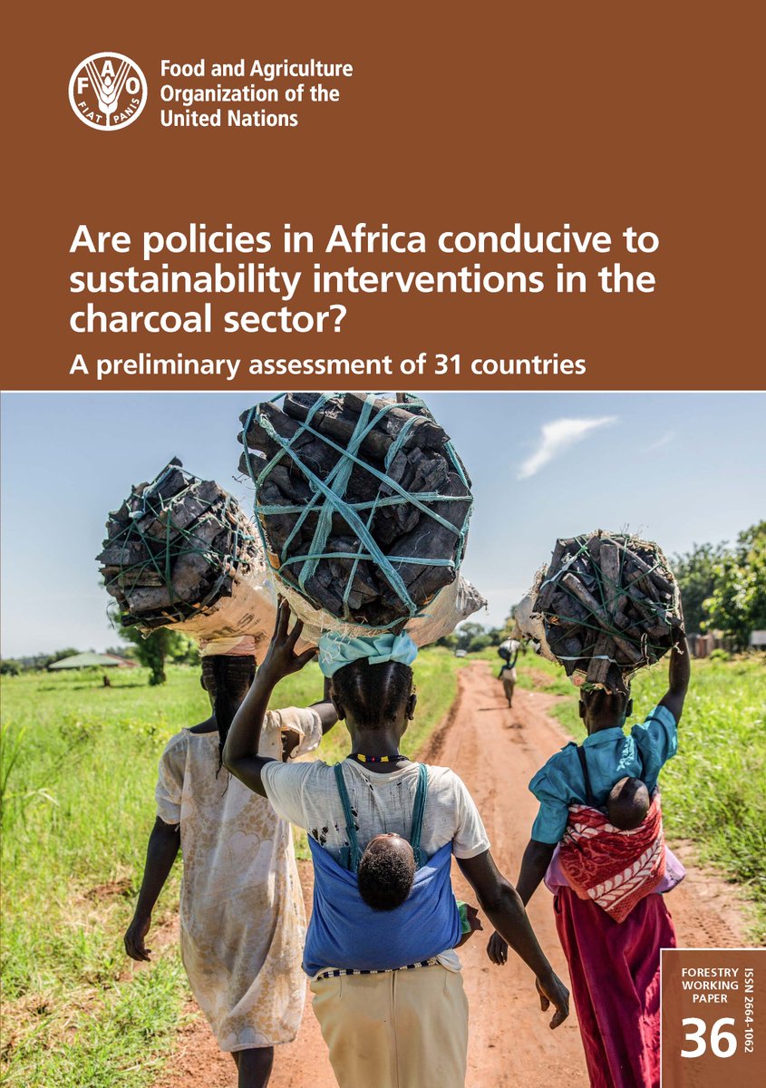 Sylvia Herzog (@sylherzog) on Twitter photo Check out this new publication on charcoal policy in sub-Saharan Africa that we collaborated on. Thanks to <a href="/FAO/">Food and Agriculture Organization</a> for all of their support in this endeavor! <a href="/KasukuWaPwani/">Tuyeni H Mwampamba</a> <a href="/CharcoalProject/">The Charcoal Project</a>
fao.org/documents/card…
#Sustainableenergy #sustainablecharcoal Check out this new publication on charcoal policy in sub-Saharan Africa that we collaborated on. Thanks to <a href="/FAO/">Food and Agriculture Organization</a> for all of their support in this endeavor! <a href="/KasukuWaPwani/">Tuyeni H Mwampamba</a> <a href="/CharcoalProject/">The Charcoal Project</a>
fao.org/documents/card…
#Sustainableenergy #sustainablecharcoal