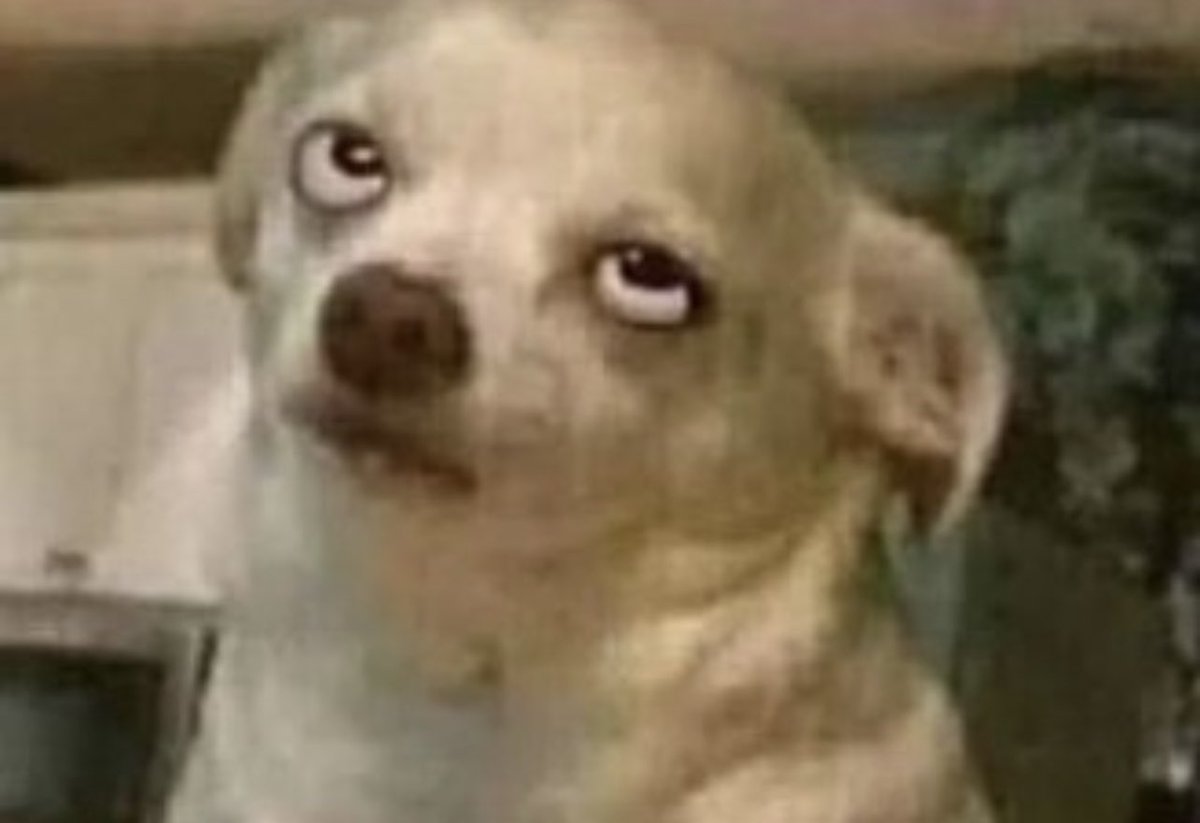 Guarromantico_'s tweet image. – No puedes estar desde temprano con tu carota

Yo desde temprano: