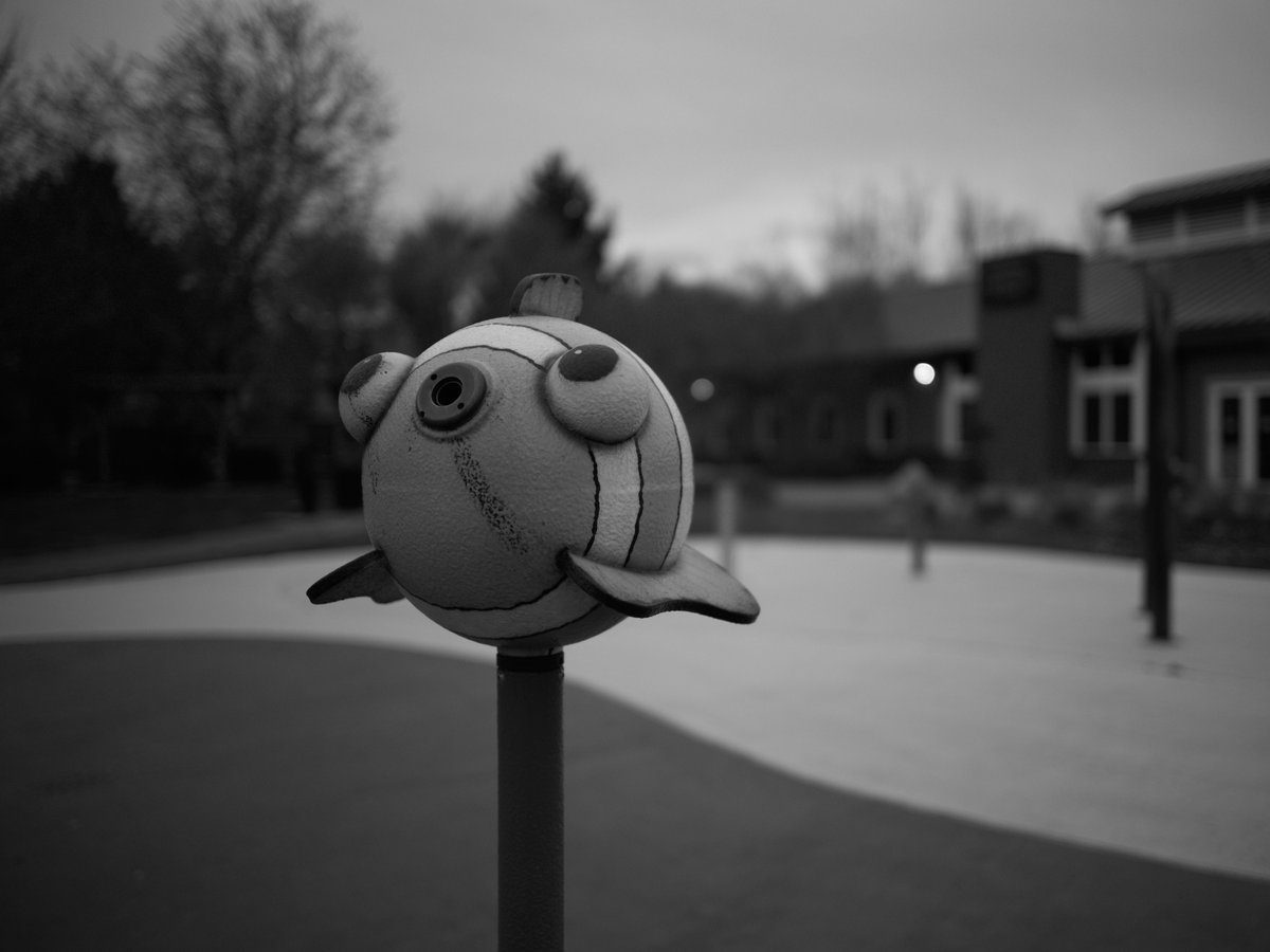 Paying attention to the things I walk past everyday. #28mm #bw