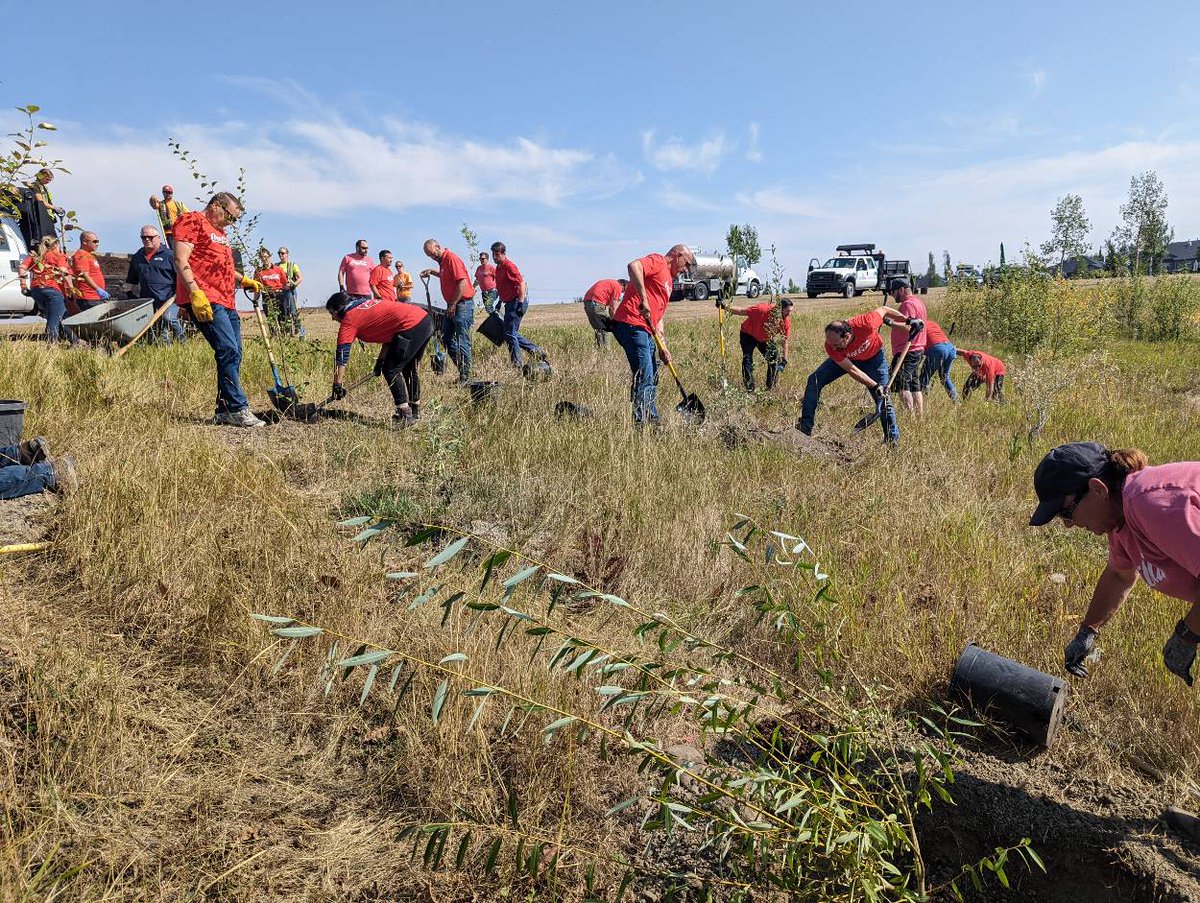 TreeCanada's tweet photo. In 2022, Coca-Cola Canada Bottling Limited supported the planting and nurture of 50 large calibre trees at Centennial Park, in Calgary, as part of our #PartnersInPlanting program. These new trees will enhance the natural amenities of a popular community park adjacent to a school. https://t.co/nkV4bXSBy2