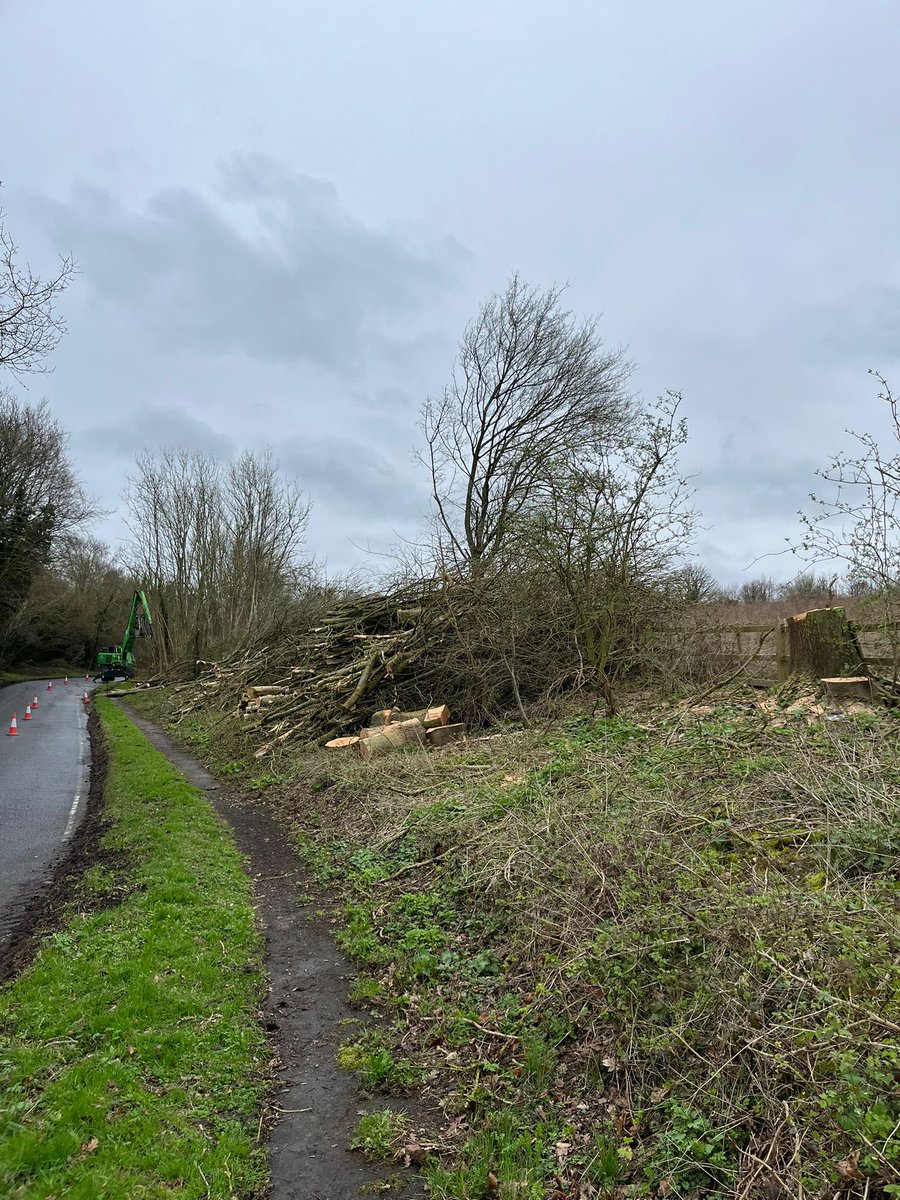 HardingWilliam's tweet photo. @AJRichardsonMP @GuildfordBC @mpfurniss what a shocking &amp; brutal sight #WanboroughHill is looking!! Shows little respect for the #SurreyHills and #AONB . @ForestryComm surely the council contractors have guidelines to follow before brutalising these trees? Very sad!!!! https://t.co/0ZOXEy6DOQ