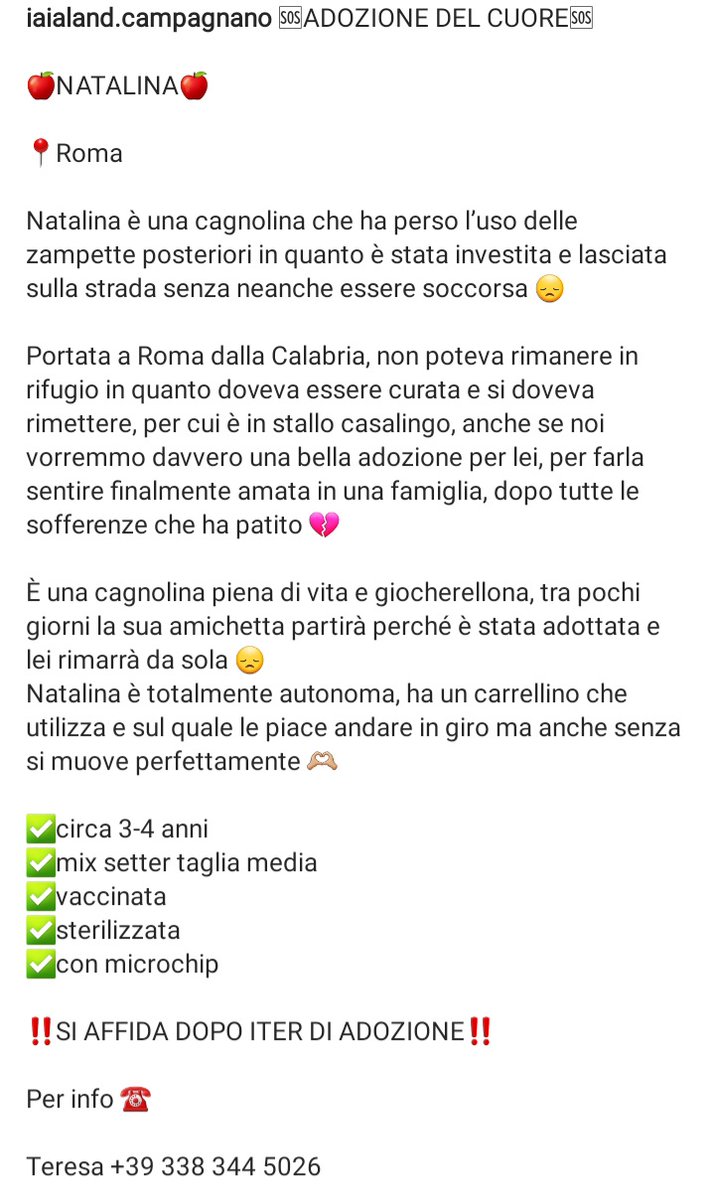 Qua la Zampa tweet media