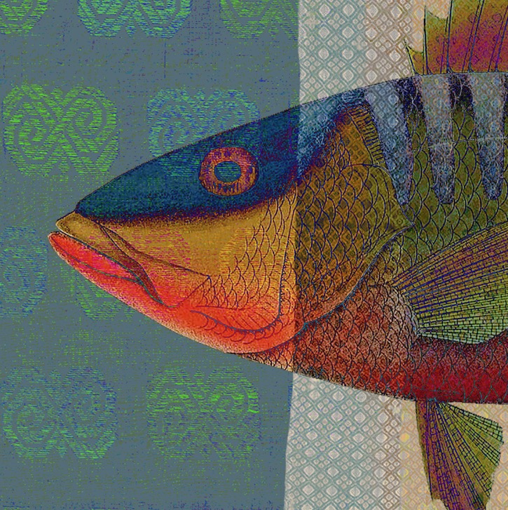 aplusastudio's tweet photo. So nice to see one of my #prints hanging in its owner's home. Working with (digital) #fabrics to produce this composition was especially exploratory &amp; satisfying. The impeccable printing of this piece (on @Hahnemuehle paper) by @FinerWorks can't be overstated. #fish #collage #art https://t.co/81oBv8hrCQ
