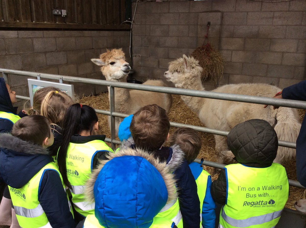 NRInfant's tweet photo. Reception had a wonderful day at the farm! Thank you @ReddishValeFarm 🐑 #schooltrip #EYFS https://t.co/uz3RKvdj8N