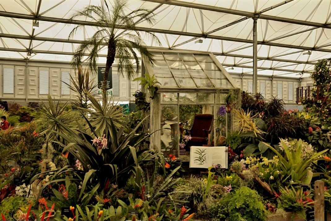 LivTropicals's tweet image. and @LivTropicals award winning RHS Chelsea Flower Show Exhibit.