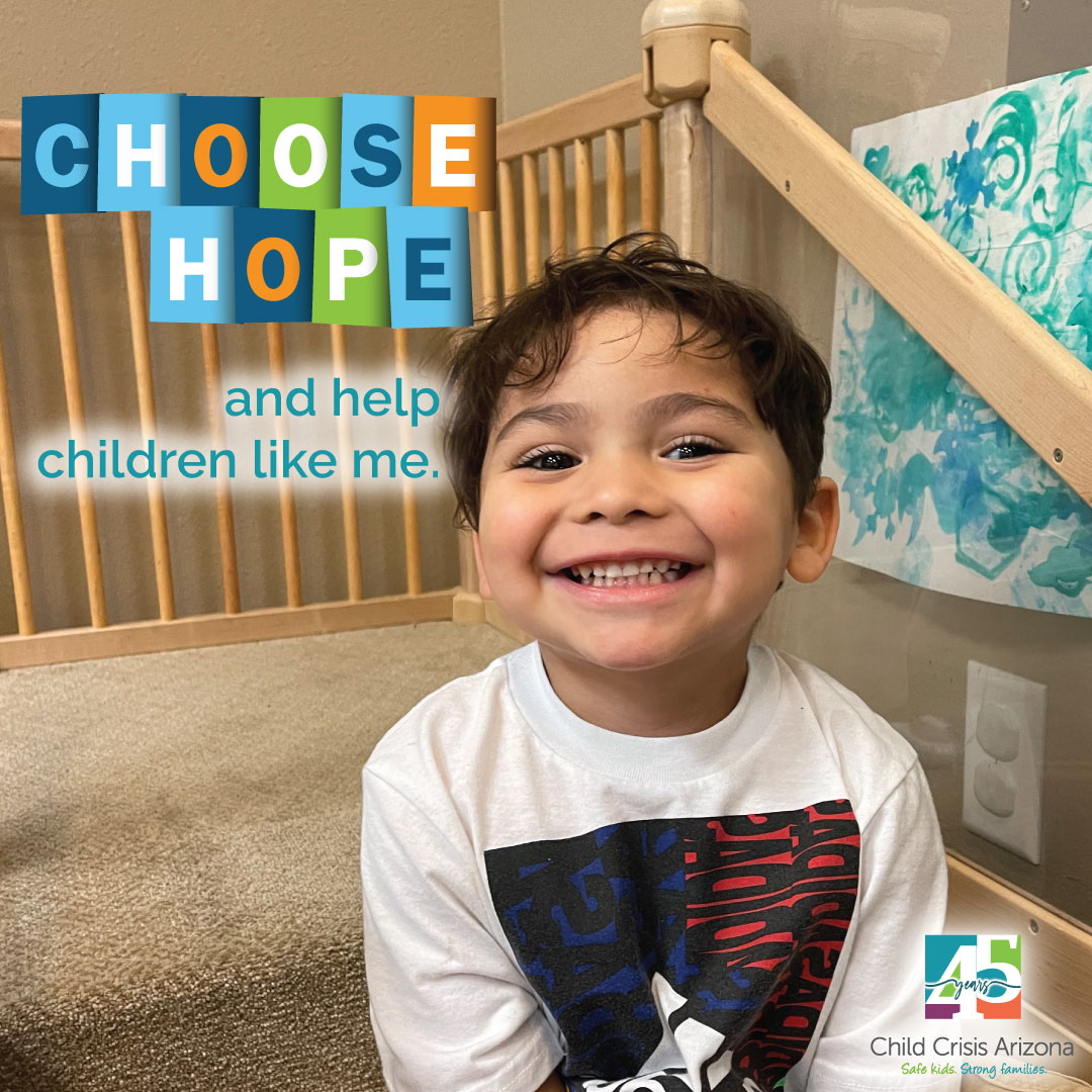 Will you choose hope for children in foster care? 

Your Arizona Foster Care Tax Credit helps Child Crisis Arizona provide a safe place to sleep and around the clock care for hundreds of children in our community.  

QFCO Code 10012

Make an impact today:interland3.donorperfect.net/weblink/weblin…