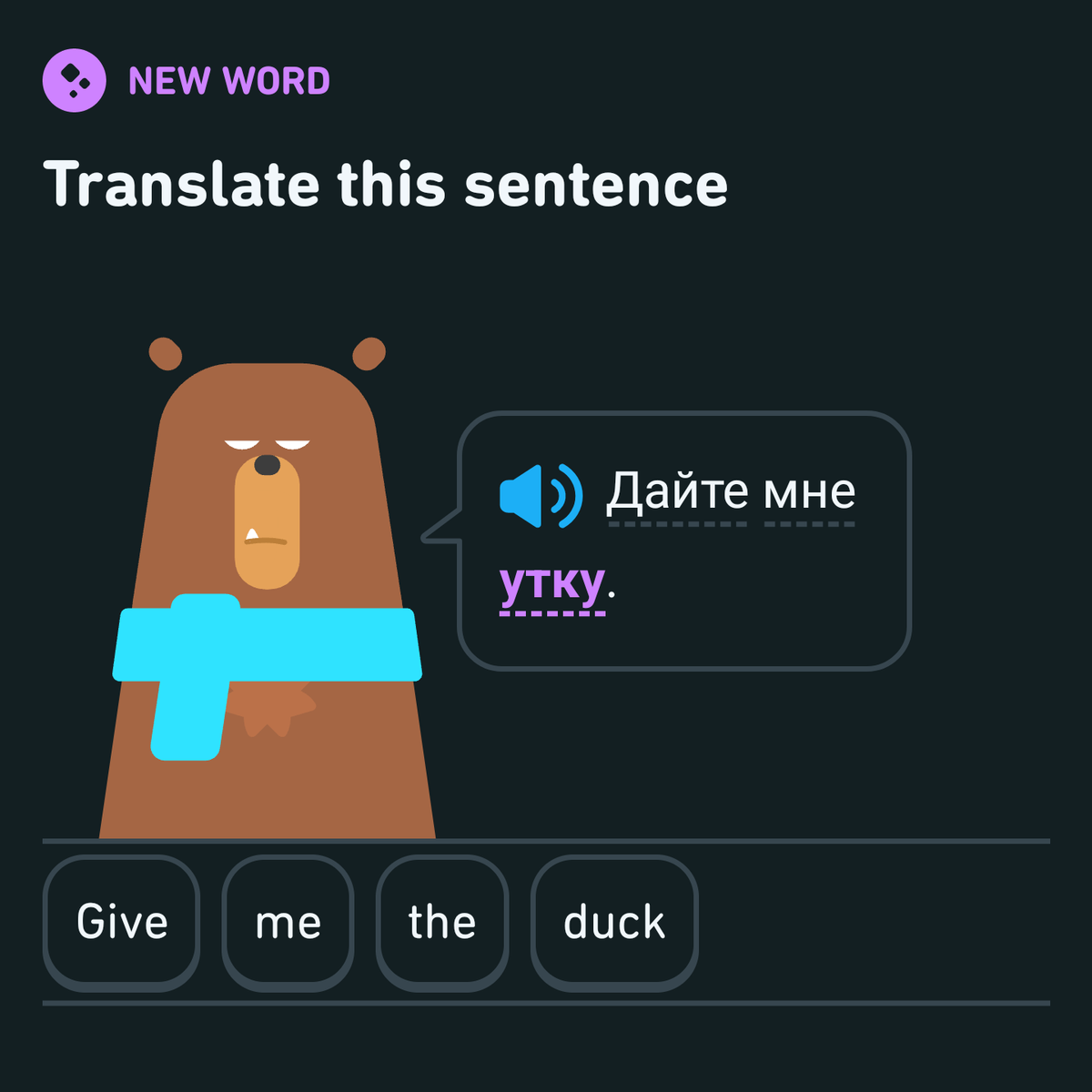 Wilder Dreams Collective tweet media