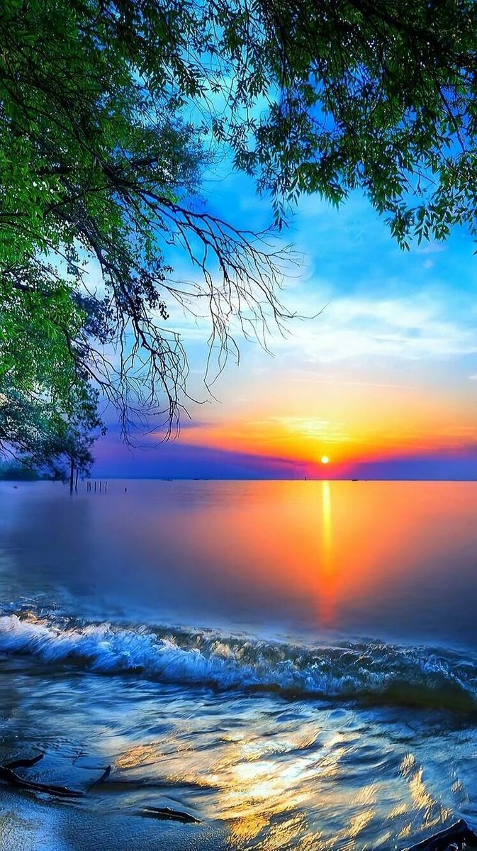 Effati_Saeede's tweet photo. #Ramadan is the month of #kindness.
#nature https://t.co/OxNtpQFDDR