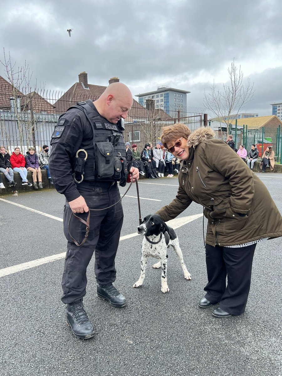 Alison Dady tweet media