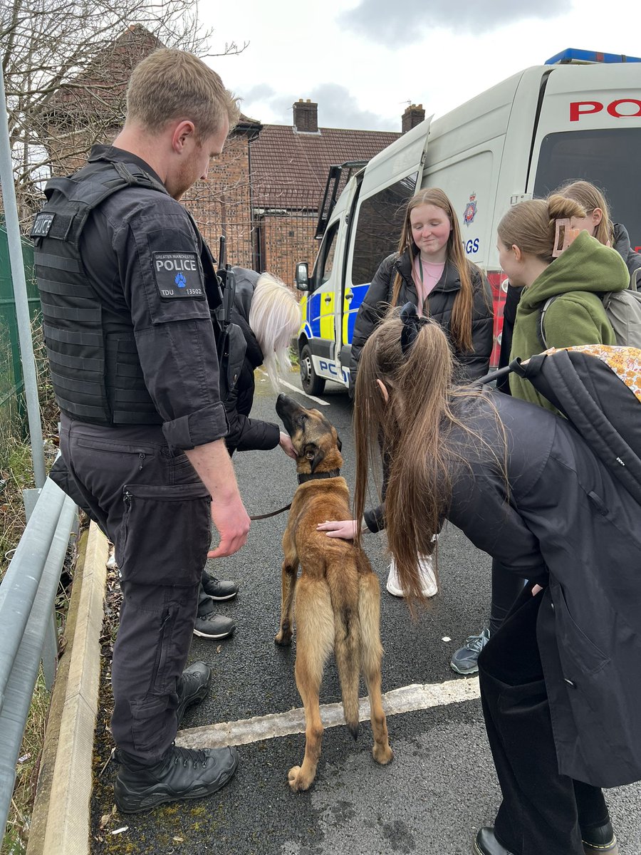 Alison Dady tweet media