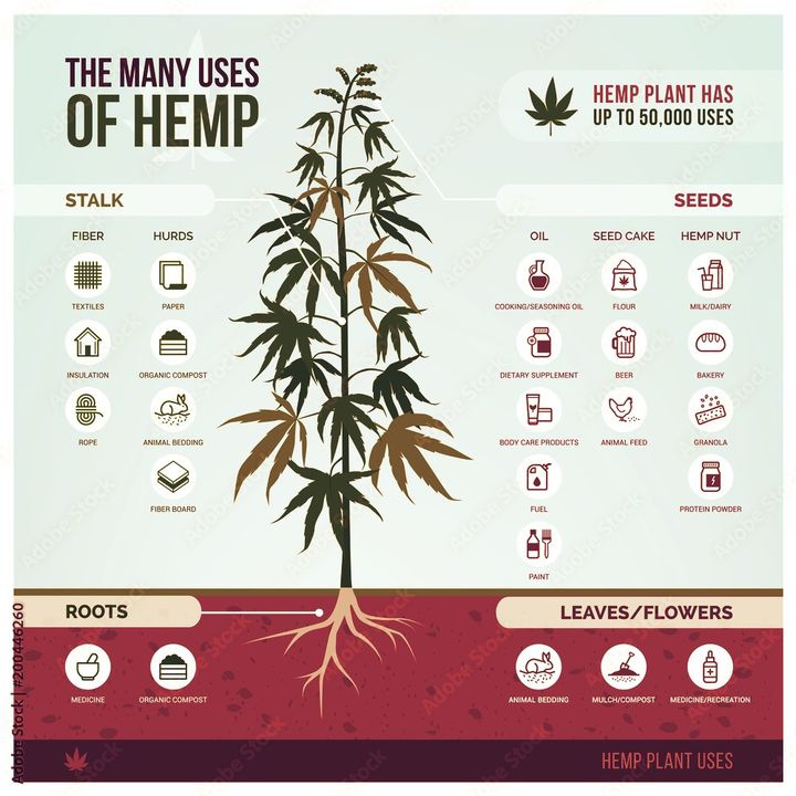 Eco_Essentials_'s tweet photo. Hemp has so many uses!
https://t.co/TZ3SxXgzTO
#sustainablefashion #ecofriendly #ecofashion #hemp #hempclothing #ecoessentials #slowfashion #hempfacts
๐ธ Hemproject
https://t.co/rp0dflyux5 https://t.co/XWQygFJ5Wd