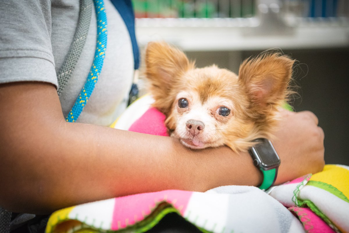 Howard County Police Department tweet media