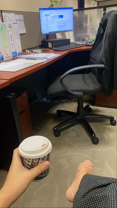 angry_pet1's tweet photo. Enjoy your working day https://t.co/y2jJpF1KJp