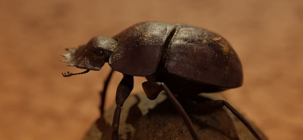 Behind the Scenes: Animated Dung Beetle blendernation.com/2023/03/29/beh… #b3d