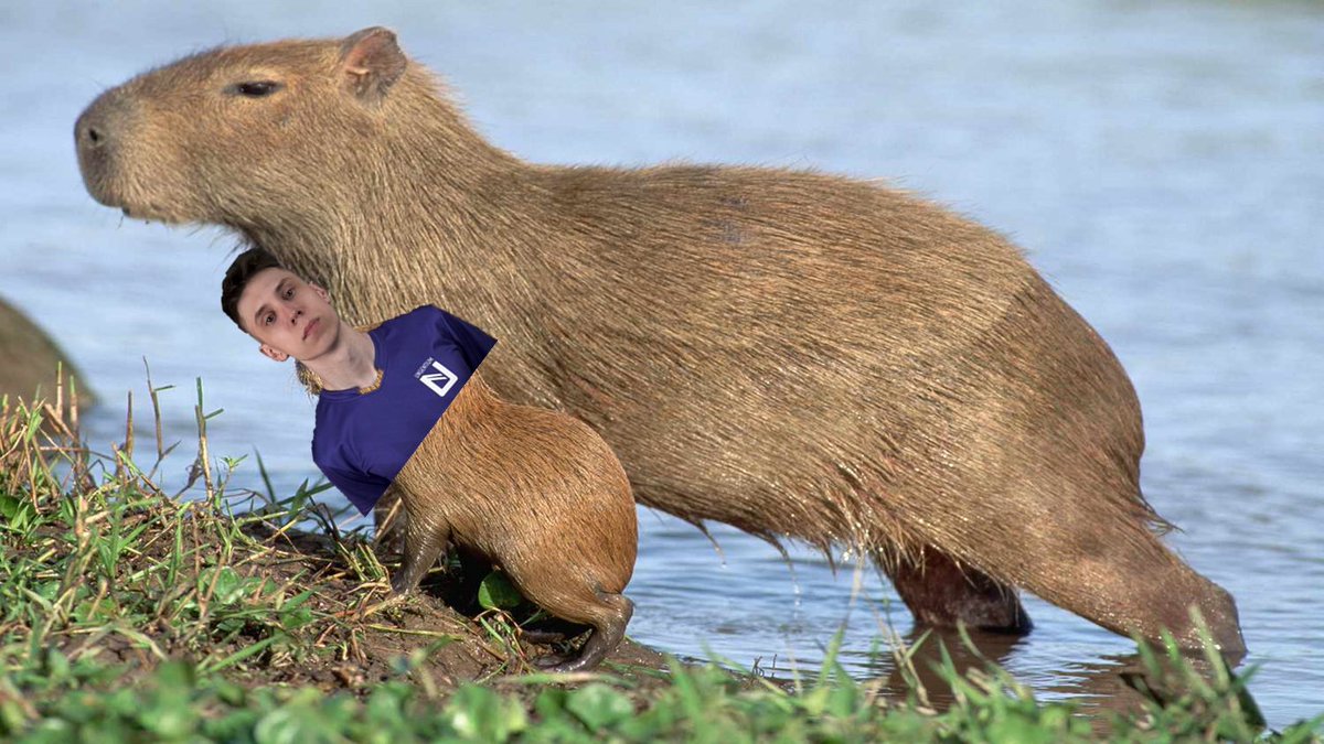 CapybaraHuggers tweet media