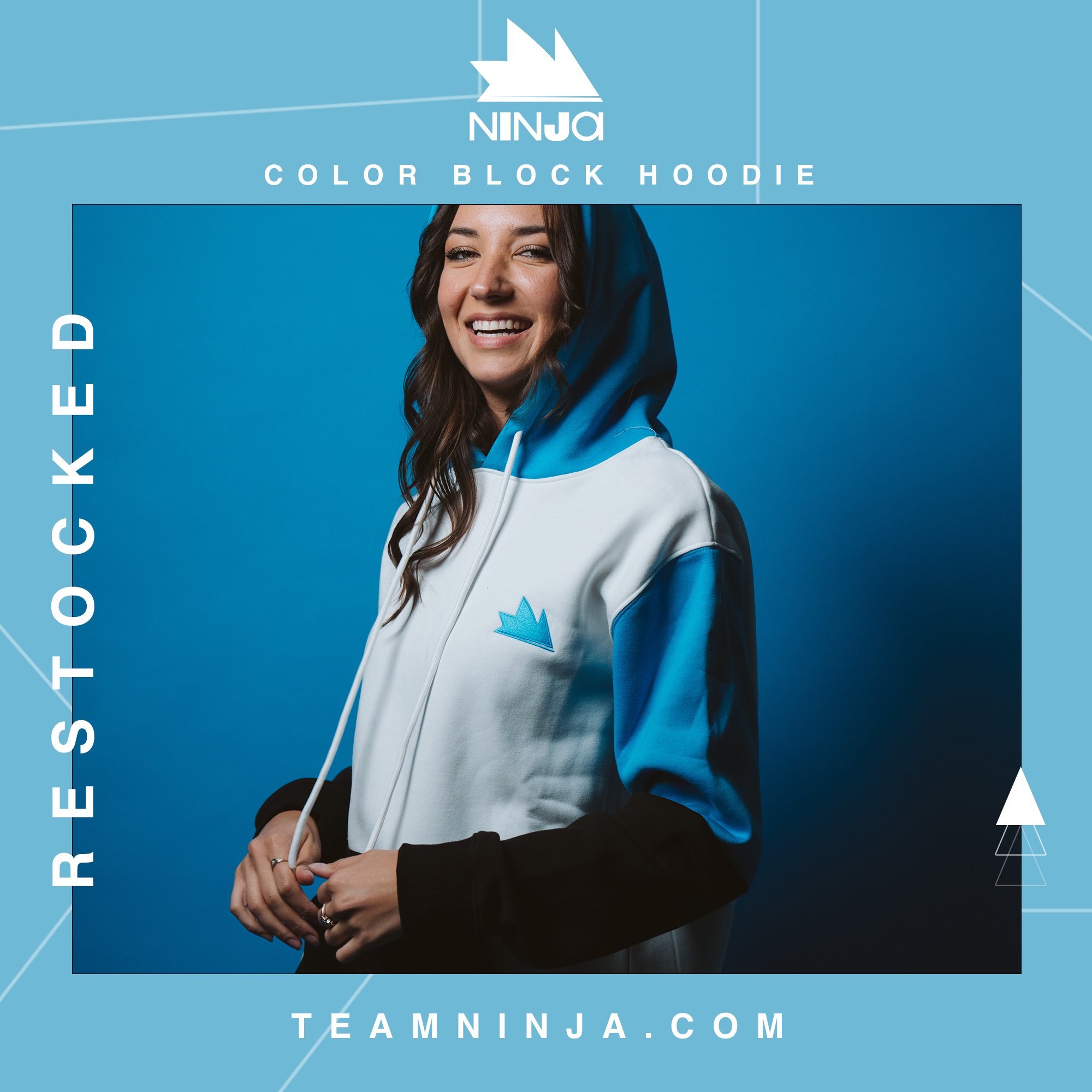 Team ninja clearance shop