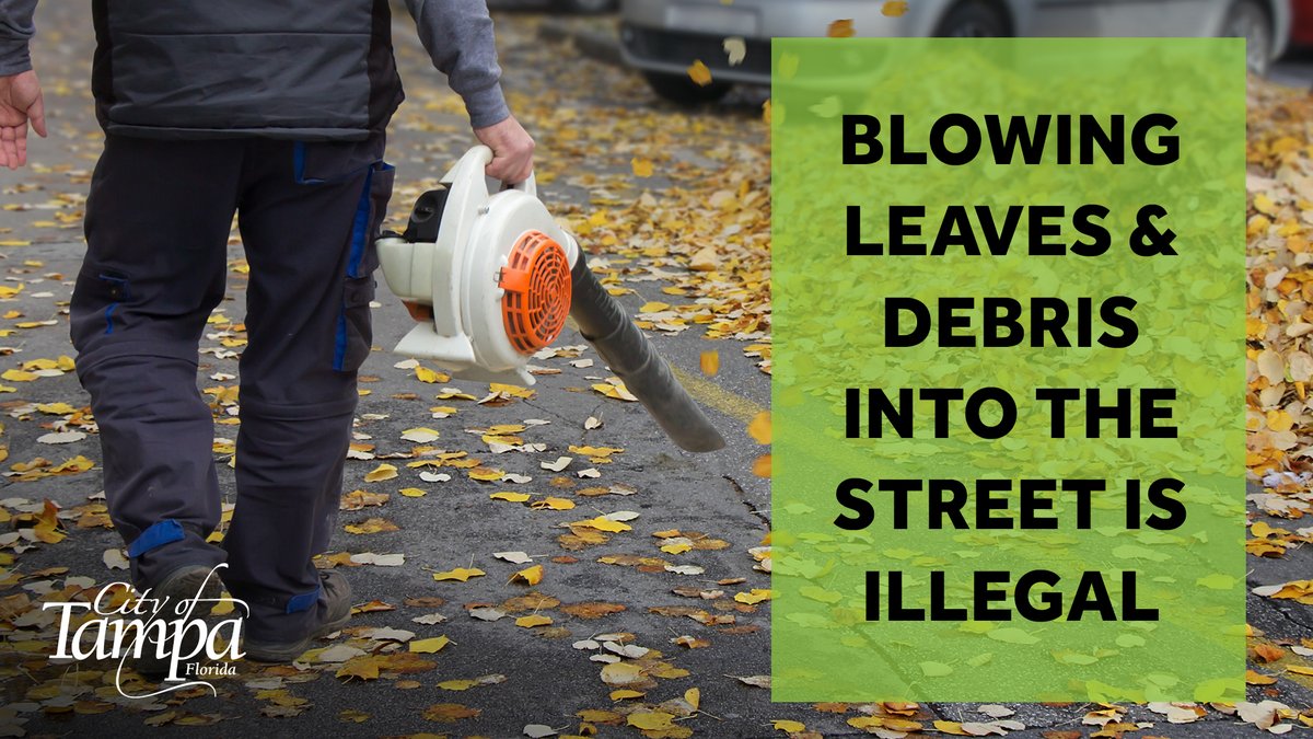 City of Tampa on Twitter "Blowing leaves and grass clipping into the street is ILLEGAL because