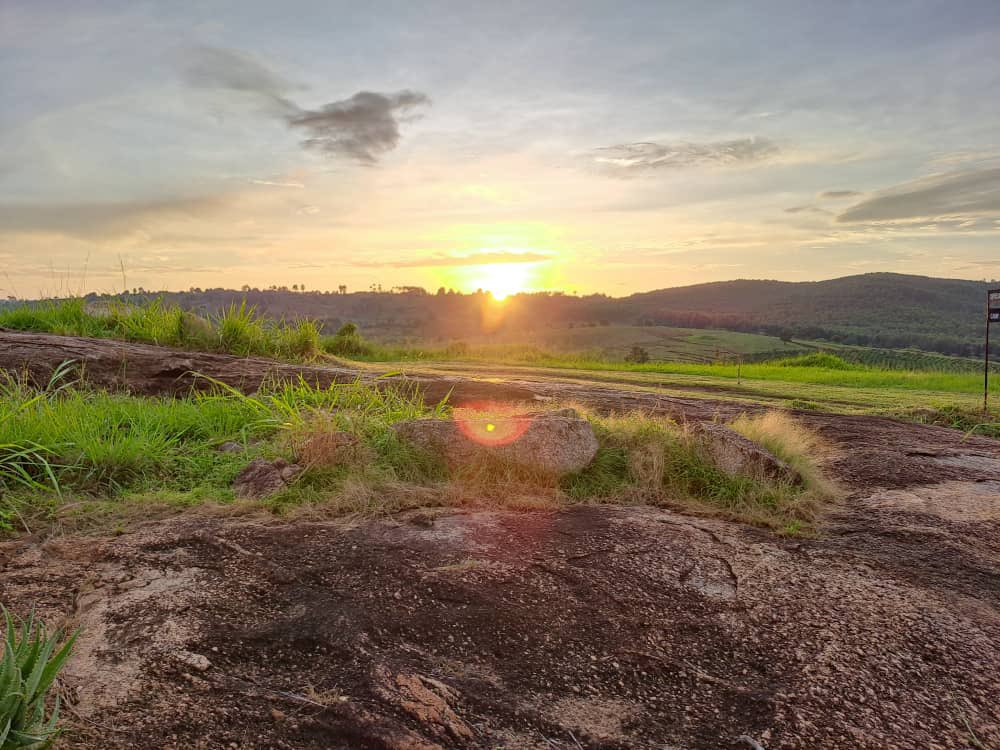 dbukirwa's tweet photo. Our Marketing team spent this week at the The Coffee Lodges at Clarke Farm.  A fantastic escape from the city.The Clarke Farm is a 1,500 acre farm located in Katambale, Kyarusozi Kyenjojo district in Uganda. 
For more information visit their website; https://t.co/WeTIBwxmYt https://t.co/iObkQyowlI