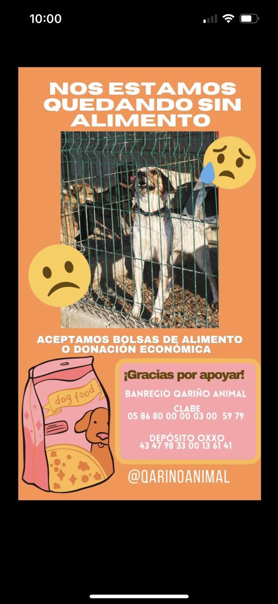 Diegotru7's tweet photo. Hola @SoyCristianRey 
Hay un refugio animal en Querétaro, en la cual hice mi servicio social, que se quedó sin alimento para sus perritos. Quería saber si podrías apoyarla. No importa cuanto sea, lo que sea ayuda. Te dejo su cuenta de Instagram por si los quieres contactar. https://t.co/Nsrqn0qBwx