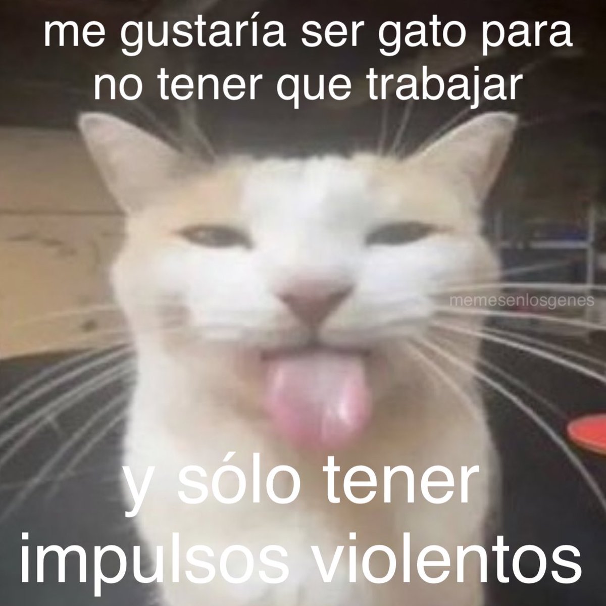 memesenlosgenes (@memesenlosgenes) on Twitter photo 