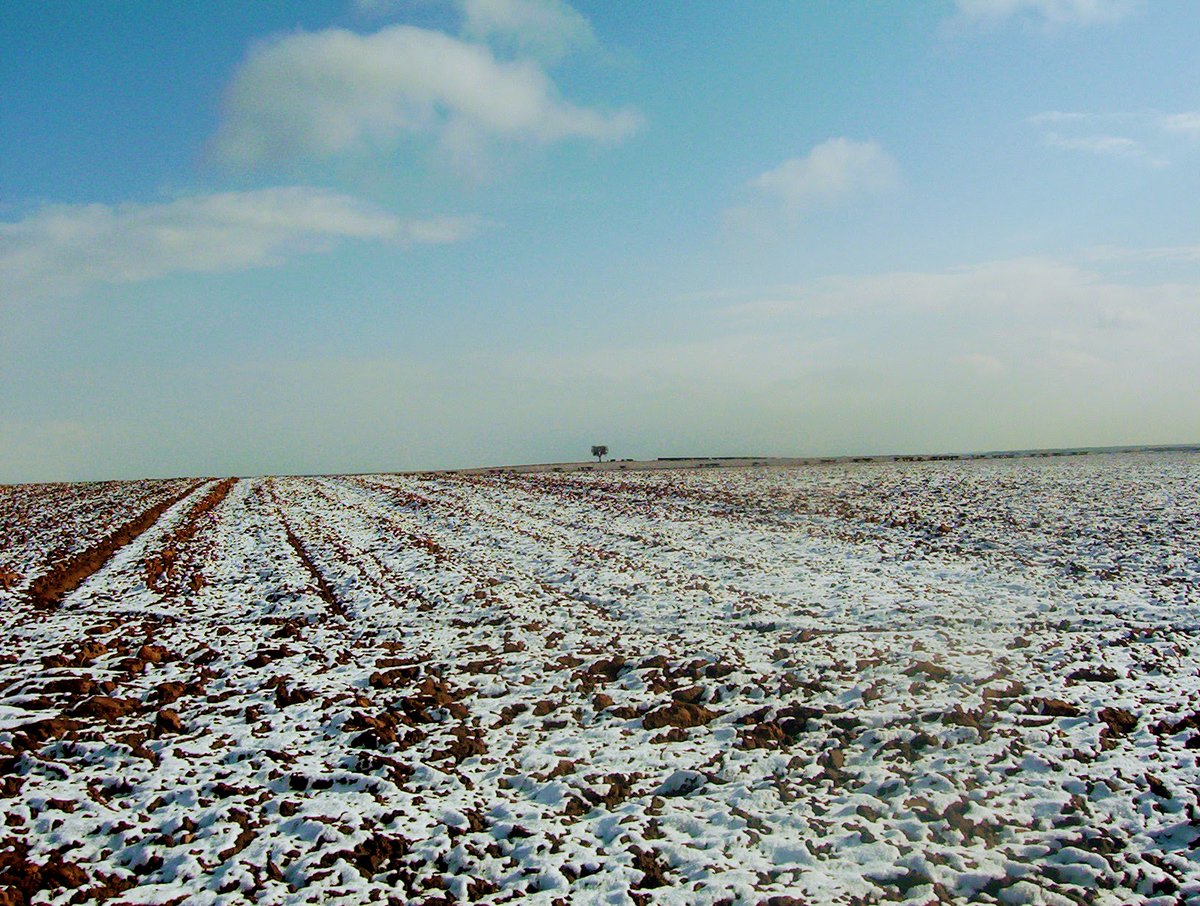 29 March 1461: Edward IVs Yorkist army crushes the Lancastrians in the snow at Towton, North Yorkshire. I took this view of the battlefield from the Lancastrian positions: the Yorkists were drawn up on the skyline. #OTD #WoR