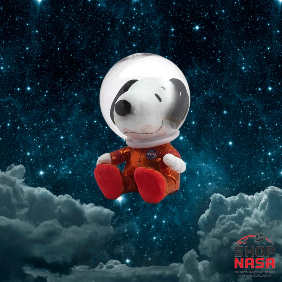 ShopNASA's tweet photo. Check out our new and noteworthy items just in time for spring! Shop our website at the link in our bio. ✨🌸💫

#ShopNASA #JSC #NASA #SpringTime #ShopNow #Houston #HTX https://t.co/ffGIS7iw05