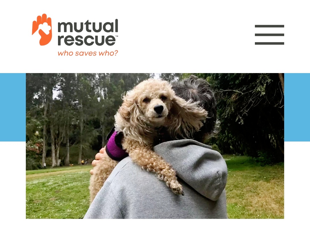 Muttville Senior Dog Rescue, San Francisco (@muttville) on Twitter photo “She’s been a major #rescue in my life. I couldn’t have done it without her.” Watch what happens when Cupcake—a feisty Muttville #seniordog—is #adopted by a caring #volunteer!
⚠️ Tissue alert for this moving #video. Thanks, <a href="/MutualRescue/">Mutual Rescue</a> 👏 bit.ly/3TSS97U
#PleaseShare “She’s been a major #rescue in my life. I couldn’t have done it without her.” Watch what happens when Cupcake—a feisty Muttville #seniordog—is #adopted by a caring #volunteer!
⚠️ Tissue alert for this moving #video. Thanks, <a href="/MutualRescue/">Mutual Rescue</a> 👏 bit.ly/3TSS97U
#PleaseShare