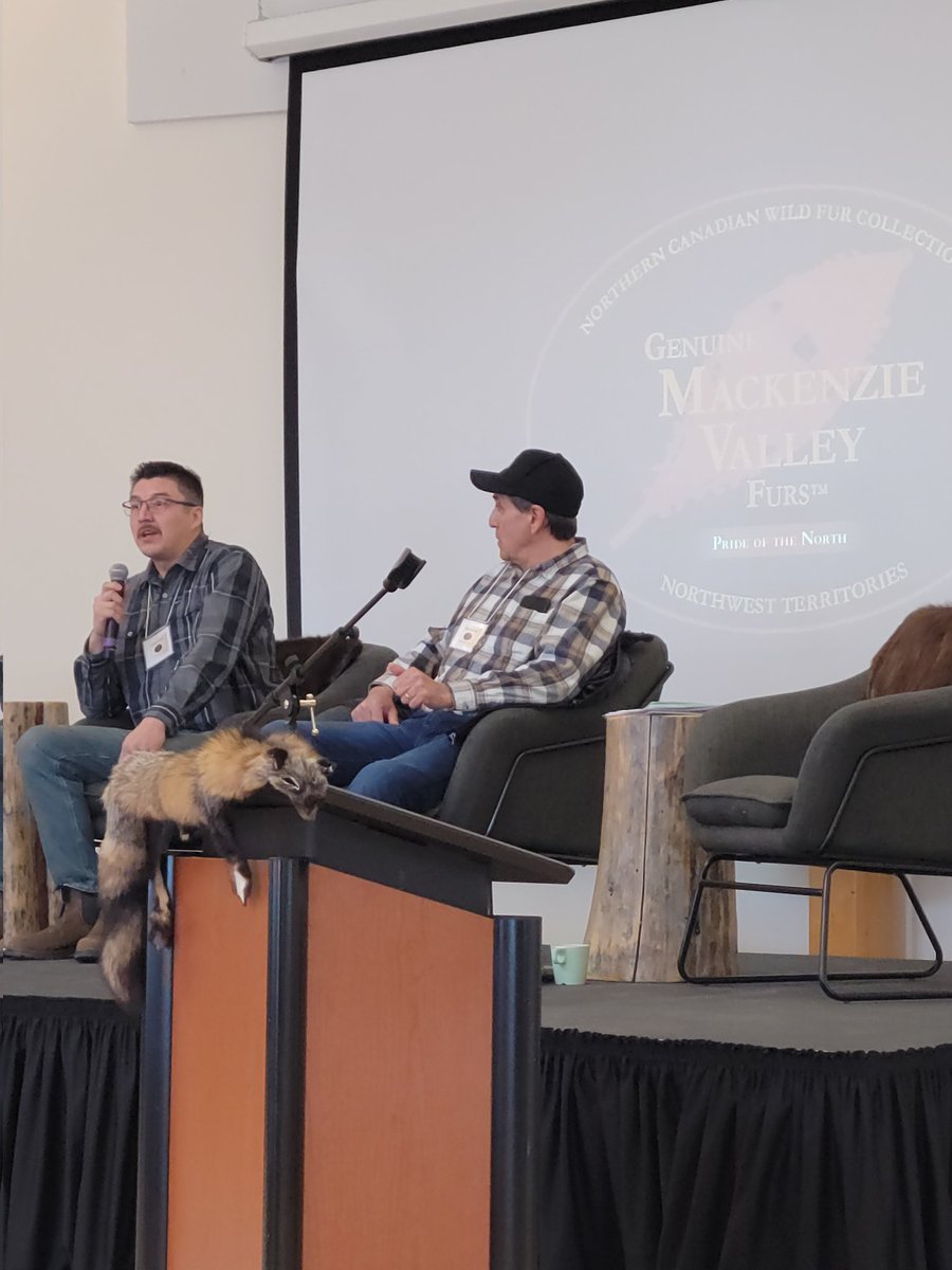 dougchiasson's tweet image. Great to hear from Speaker of the NWT legislature and MLA for MacKenzie Delta, Frederick Blake Jr. on how trapping has been such an important part of his life, and former Deputy Minister Ernie Campbell on the role of trapping in Reconciliation and Indigenous self-determination