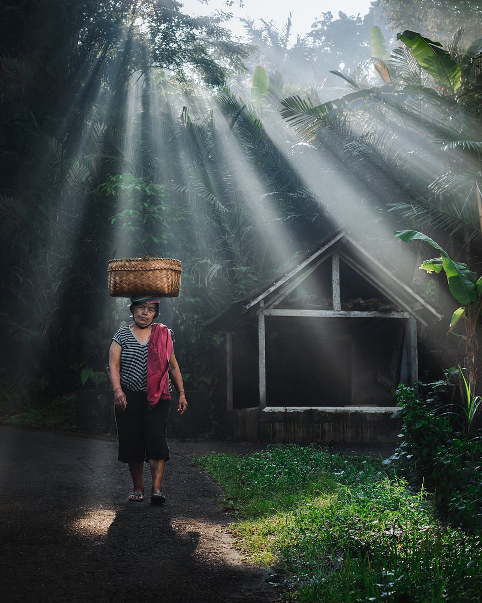 Jord Hammond tweet media