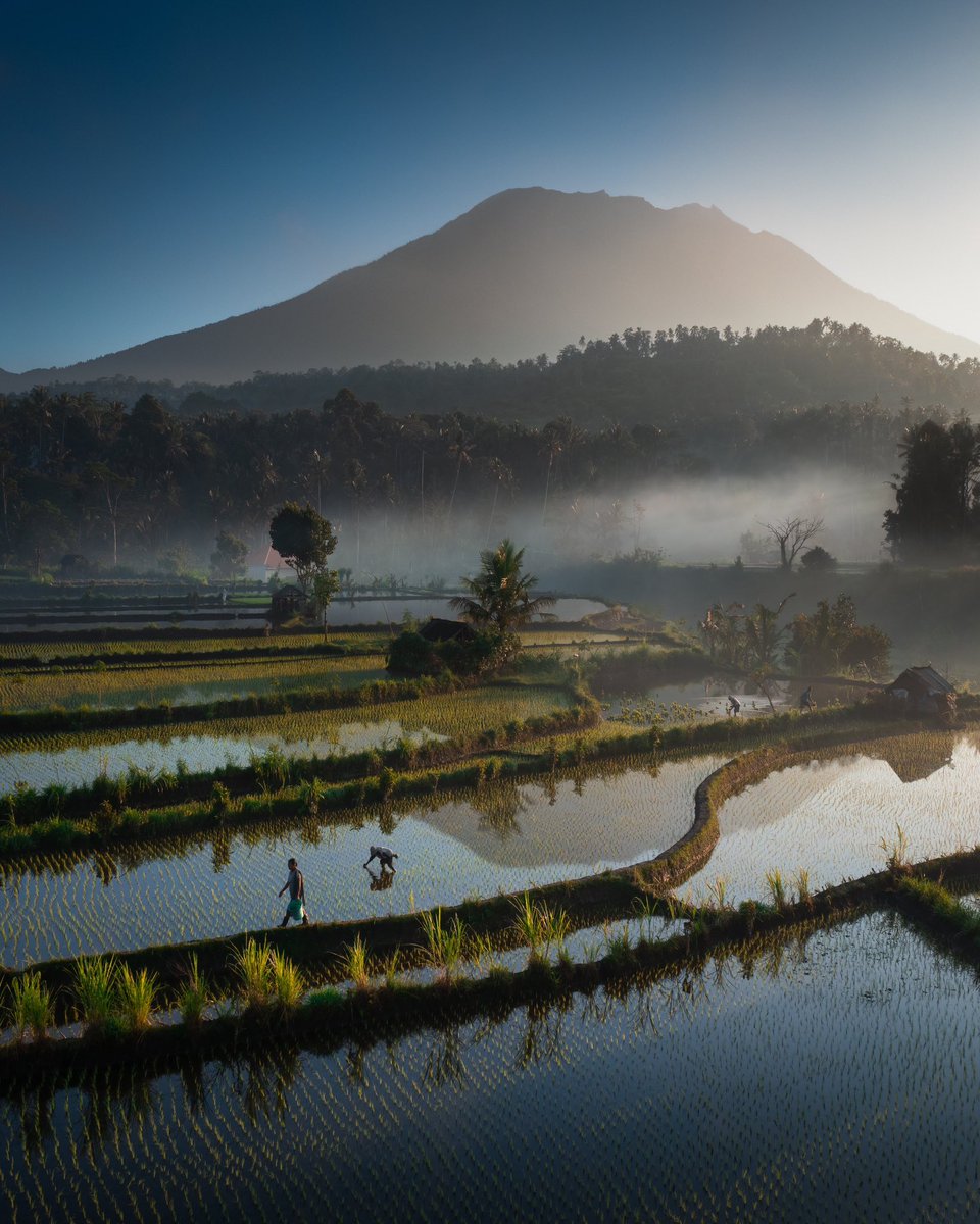 Jord Hammond tweet media