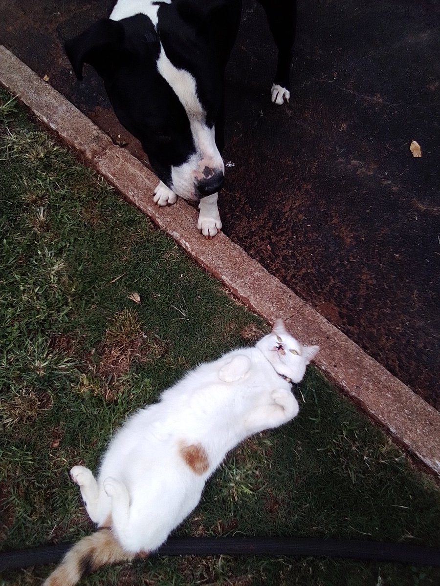 Shaun Barnard (@shaunbarnard20) on Twitter photo 