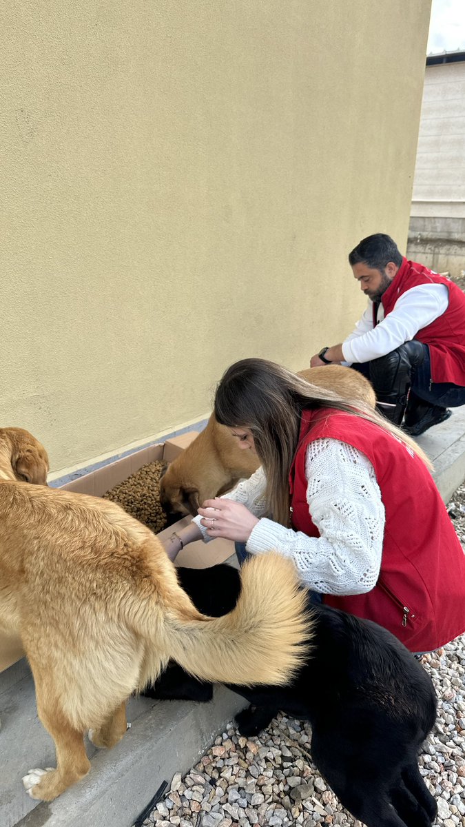 GSB_75YilGM's tweet photo. Beslenme Zamanı 🍴😋
🐕🐈
#ManisaGençlik
#MutluPatiler https://t.co/LXV9xxmVYZ