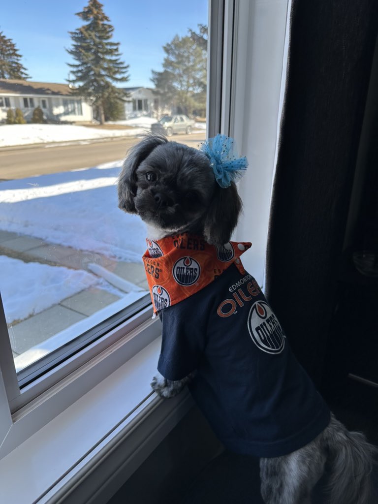 Redlion44's tweet image. Maybel was ready for the game last night!  Lucky charm