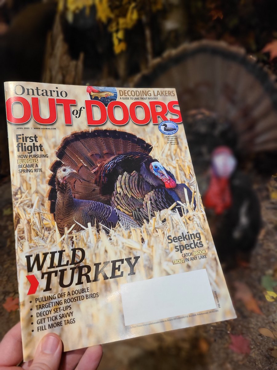 OODMag's tweet photo. Read up on how to catch brookies in any lake.
Find a copy of our April 2023 issue on a newsstand near you. 👇
https://t.co/HxRfOp0Mv8
@ofah
#Hunting #Fishing #Outdoors #OntarioOUTofDOORS #Newsstand #News #Cooking #Columns #CanadianReads #CanadianMagazine #April #Turkey #Doubles https://t.co/m2AaXXwftI