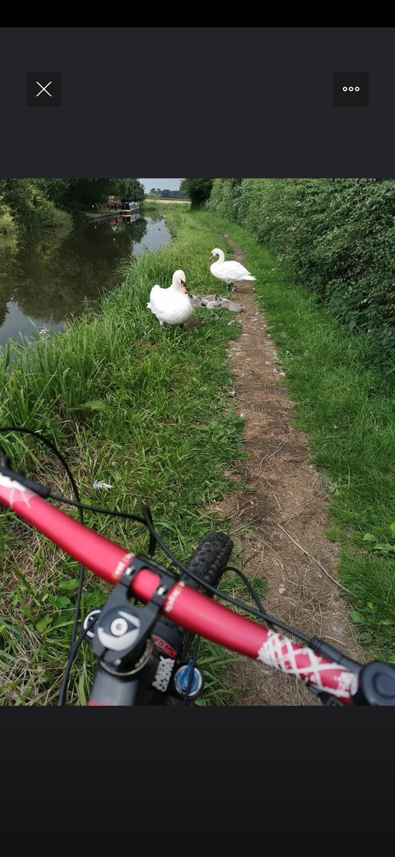 Peter Fox tweet media