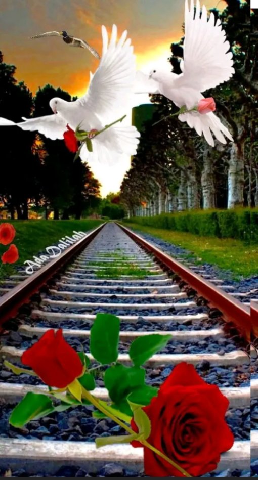 Kisheba Mallic (@kesheba53987) on Twitter photo 