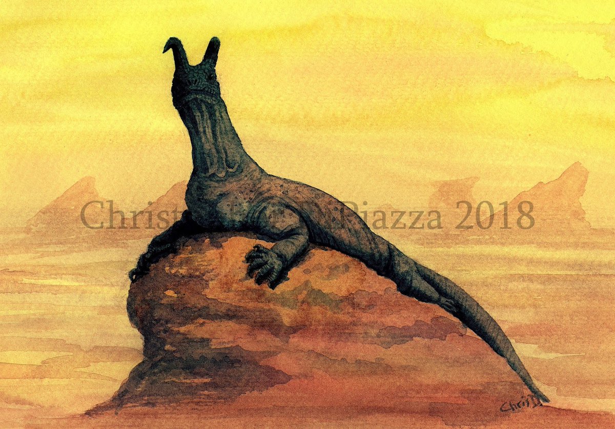 Extinct Animals 🦣🦤 tweet media