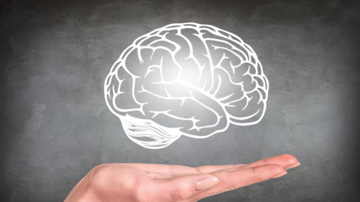 breakfasttv's tweet photo. March is Brain Health Awareness month! 🧠

Dr. Nicole Anderson joins us to discuss dementia and the ways we can be proactive to help with our brain health. 

https://t.co/VrexBanbLC https://t.co/wMRQWuILhj