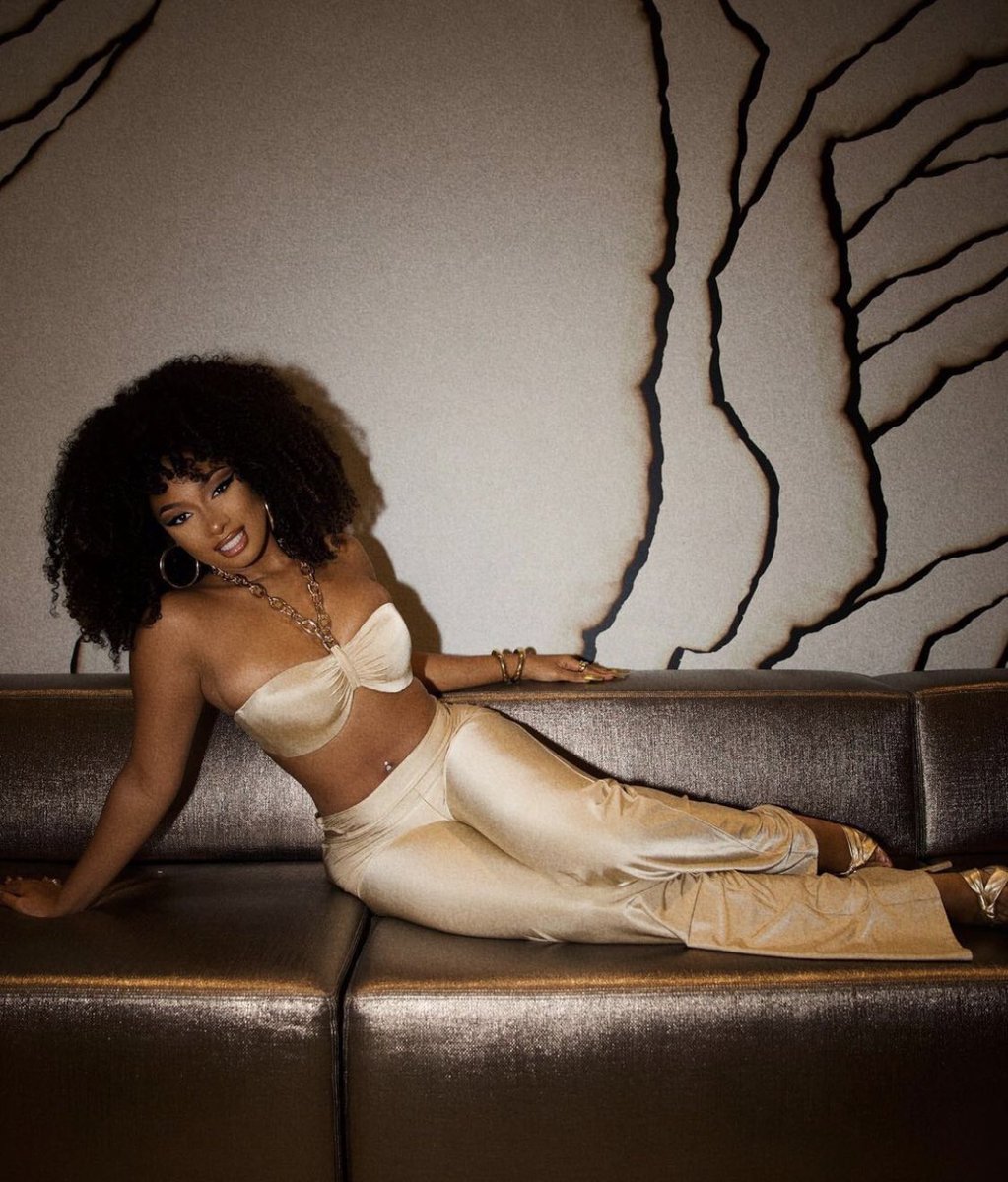 MEGAN THEE STALLION??????????????????