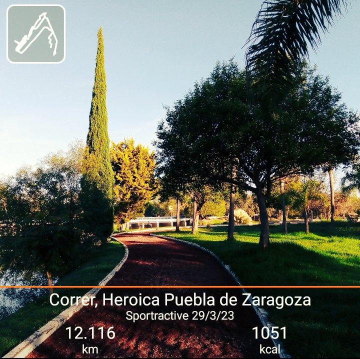 Buenos días 🌞 #runners #FelizMiercoles para todos 🙌✌️🤗 #aquiyasecorrio en el #templorunner #MeEncantaCorrer #entrerunners #YoElegiCorrer 💨💨💨🏃🏃 12 km 👊💪💯👍 #runmotivacion #runrorlife #mivicioescorrer #RunningMan