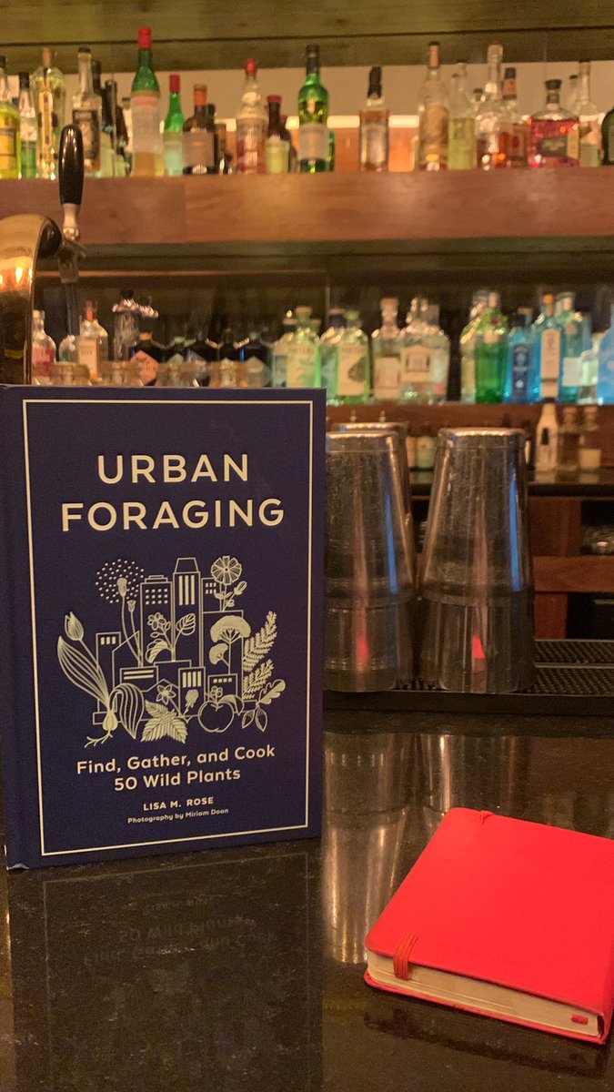 Rxdshift's tweet image. Nature meets cocktails