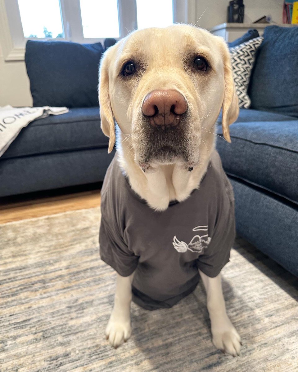 Ms. Lennon tweet media