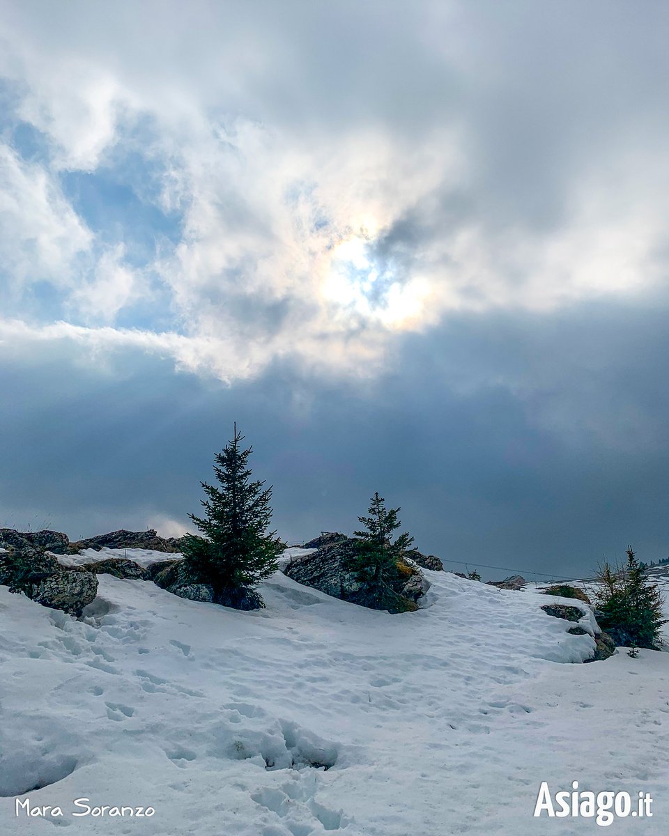 AsiagoIt's tweet photo. Davanti a un paesaggio invernale ci sembra tutto morto; ma non è così. Senza attraversare l’inverno non c’è #primavera. [Ermanno Olmi]

Nelle foto, di venerdì scorso, vedete il risveglio della #natura in #ValFormica... ❤️ 

#Asiagoit #altopianodiasiago #montagna https://t.co/JIqy6t4fbe