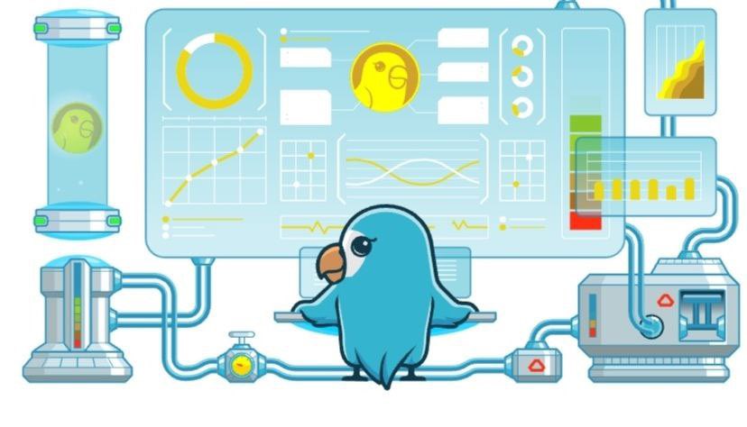 Parrot Lover tweet media