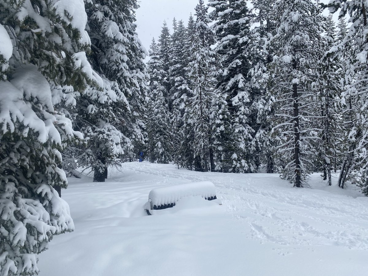 dogpacorg's tweet photo. Another amazing snow day @ WANOGA 12-18” overnight. Dug for a hour, track packed for another hour/no grooming attachment on snowmobile - snow was too deep. As of 4 PM Weds only track packed
Outer loop and classic trail. Hopefully by Thurs we’ll have it all groomed &amp; good to go! https://t.co/OTRbMreQc2