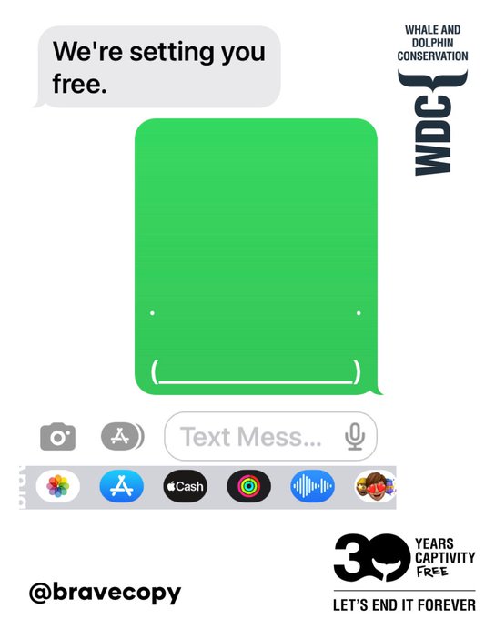 OneMinuteBriefs's tweet photo. A whale-y great effort from OMBLES far and wide today for the #EndCaptivityForever brief with @whalesorg 🐋❤️ From powerful copy to heart-touching imagery, the brief just goes to show how important this issue is to not a few but everyone! 😁✊

Brief extension until 8pm 🥰🙌 https://t.co/vA3KD2yRU7