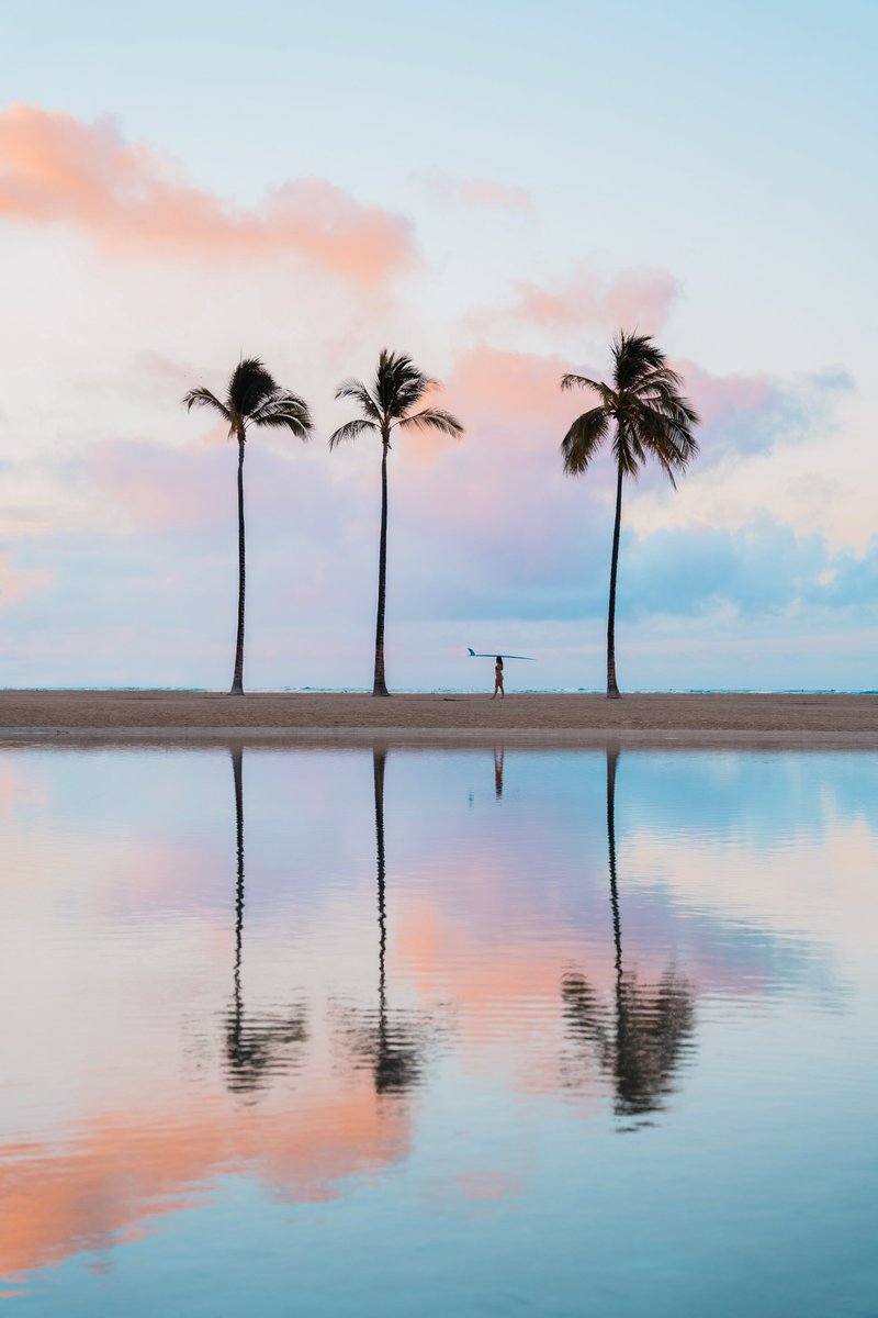 Surfrider Foundation tweet media